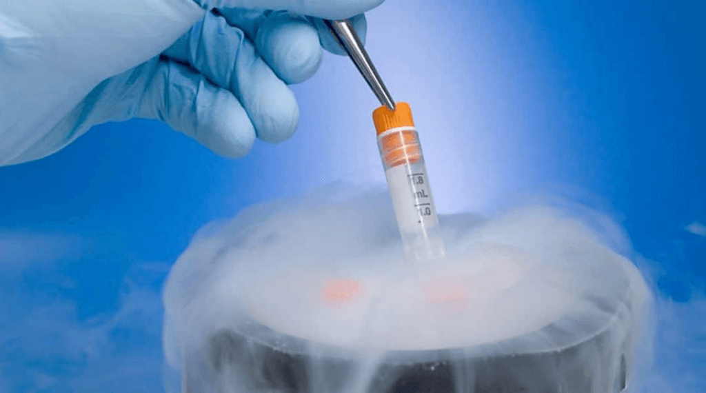 Best-Practices-In-Pharmaceutical-Transport_4-1 - Fuel Logic best reefer fuel for pharmaceutical industry