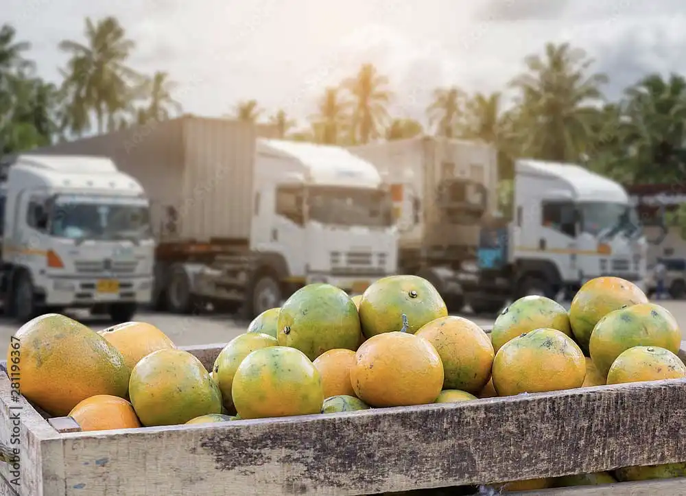 Reefer-fuel-dleivery-fruit-produce - Fuel Logic Refrigerated Trailer Refueling